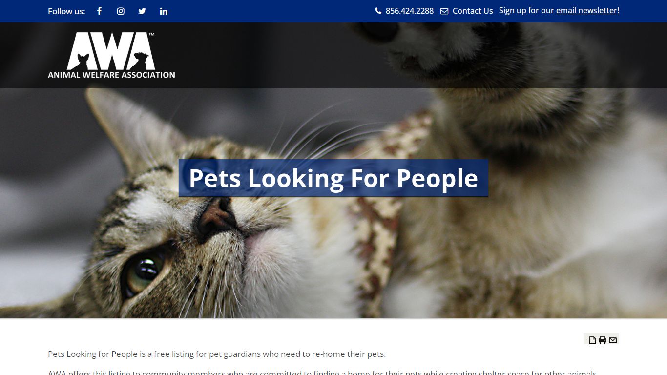 Pets Looking For People - Animal Welfare Association of NJ